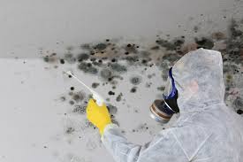 Best Forensic Mold Investigation  in Stonebridge, NJ